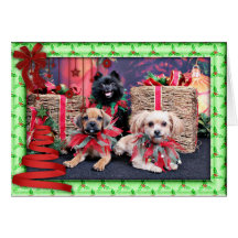 Christmas - Puggle Gus - Shorkie Charlie - Pom Maz Card