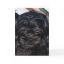 Christmas Puppy cards by Sherlockdonatello Christmas Puppy cards
