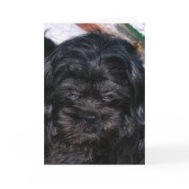 Christmas Puppy cards