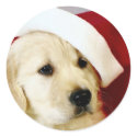Christmas Puppy Sticker