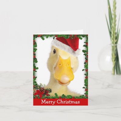 Christmas Quack Cards