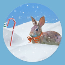 Christmas, Rabbit, Snow, Candy Canes stickers