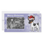 Christmas Rat Terrier / Toy Fox Terrier photo cards