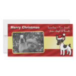Christmas Rat Terrier / Toy Fox Terrier photo cards