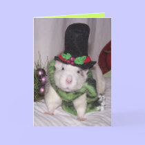Christmas Rattie cards