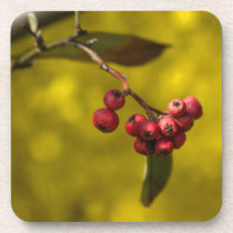 Christmas Red Berries Beverage Coaster