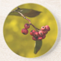 Christmas Red Berries Coasters
