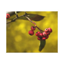 Christmas Red Berries Gallery Wrap Canvas