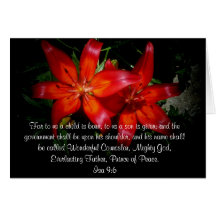 Christmas Red Flowers Card