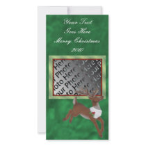 Christmas Reindeer Photo Card photo cards by Customizables Christmas Reindeer Photo Card photo cards