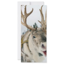 Christmas Reindeer rack cards