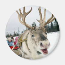 Christmas Reindeer Refrigerator Magnet