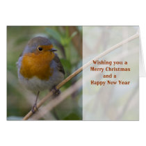 Christmas Robin Greeting Card
