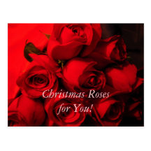 "Christmas Roses for You!" Post Cards