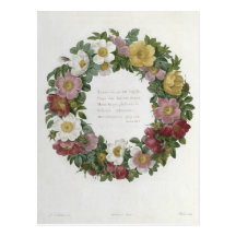 Christmas Roses Post Cards