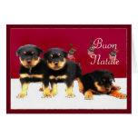 Christmas Rottweiler puppies Greeting Card