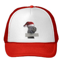 Christmas Santa Hat Horse