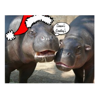 Christmas Santa Hippo postcard