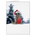 Christmas Santa Raccoon Bandit Cards