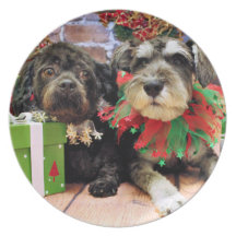 Christmas - Schnauzer Joey - ShihChon Oscar Dinner Plate