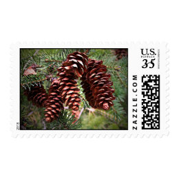 Christmas Seasonal Postcard Size Stamps