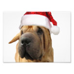 Christmas Shar Pei dog photo print