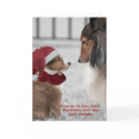 Christmas Shelties cards
