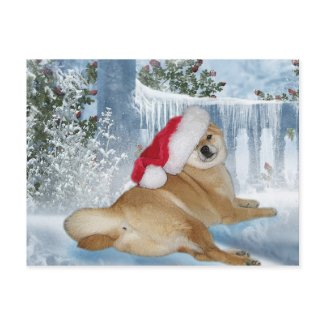 Christmas Shiba Inu Postcard postcard