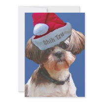 Christmas Shih Tzu 10 pk  Cards invitations