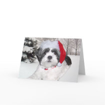 Christmas Shih Tzu Card