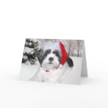 Christmas Shih Tzu Card