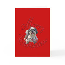 Christmas Shih Tzu cards