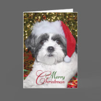 Christmas Shih Tzu Dog Greeting Card