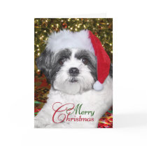 Christmas Shih Tzu Dog Greeting Card
