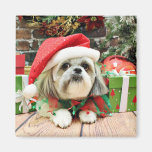 Christmas - Shih Tzu - Gizmo Refrigerator Magnets