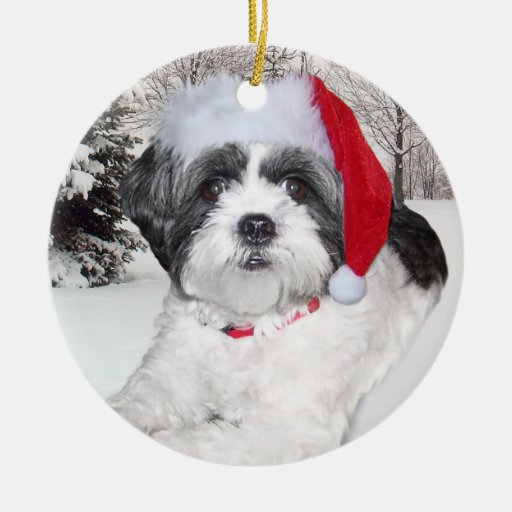 Christmas Shih Tzu Ornament | Zazzle