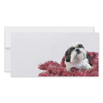 Christmas Shih Tzu Photo Card Template