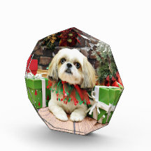 Christmas - Shih Tzu - Sophie Award