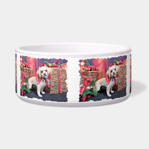 Christmas - Shorkie - Charlie Pet Bowl