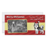Christmas Siberian Husky / Alaskan Malamute Photo Cards