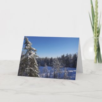 Christmas Snow Covered Trees In Winter Forest card