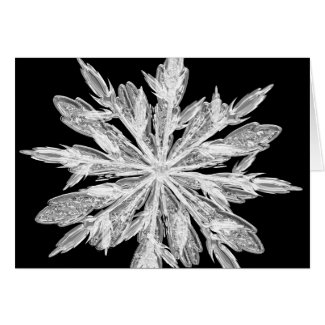 Christmas Snowflake Greeting Card