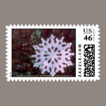 Christmas snowflake in red and green stamps