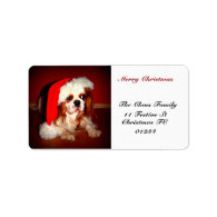 Christmas  Spaniel Self Addressed Custom Address Labels