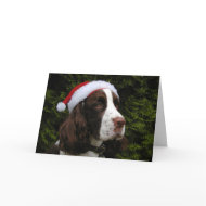 Christmas Springer holiday card card
