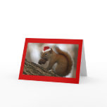 christmas squirrel cards