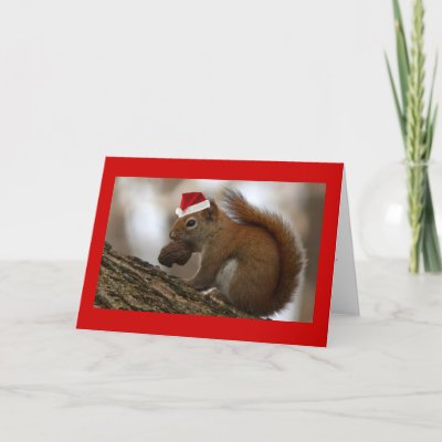 christmas squirrel cards