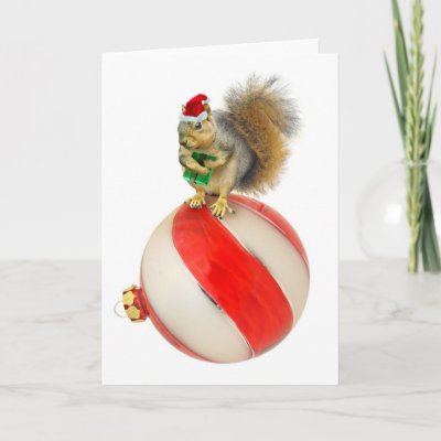 Christmas Squirrel cards