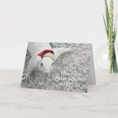 Christmas Squirrel Card