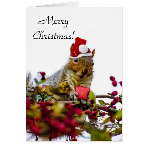 Christmas Squirrel Card Zazzle 1540